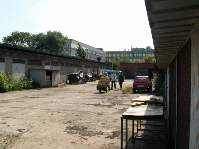 Photograph