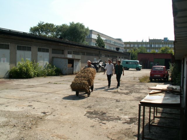 Photograph